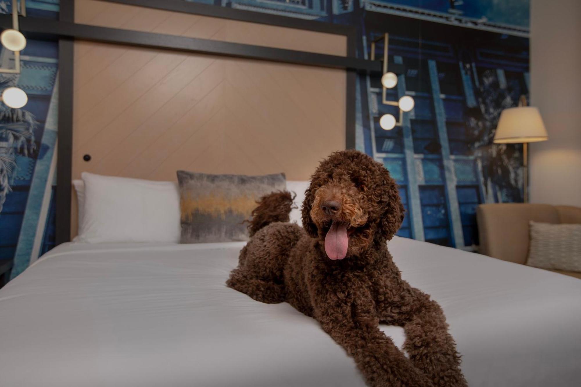 Hotel Indigo Jacksonville-Deerwood Park By Ihg Zewnętrze zdjęcie